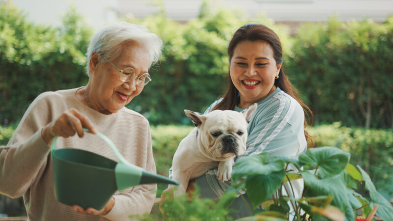 Happy family spending leisure time in their garden.